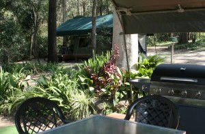 Tamborine Mountain Caravan & Camping - Getaway Accommodation 2