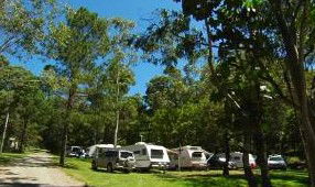 Tamborine Mountain Caravan & Camping - Getaway Accommodation 3