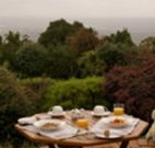 Barefoot Springs Bed and Breakfast - Getaway Accommodation