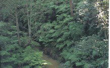 Eco Huts - Jervis Bay Getaways - Getaway Accommodation 1