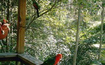 Eco Huts - Jervis Bay Getaways - Getaway Accommodation 2