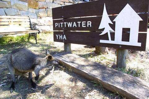 Sydney - Pittwater YHA - Getaway Accommodation 9