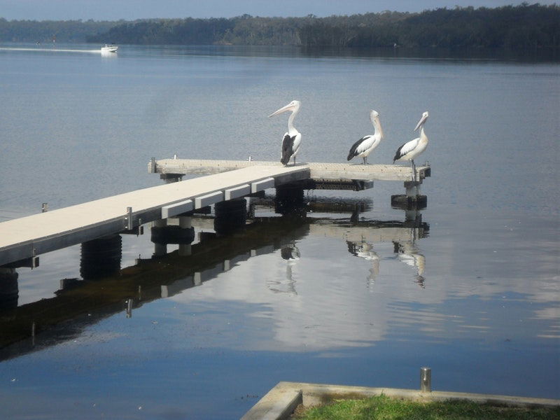 Basin View NSW Getaway Accommodation