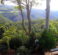 Mt Tamborine Motel - Getaway Accommodation