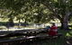 Christmas Creek Cafe` And Cabins - thumb 1