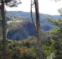 Mt Tamborine Motel - Getaway Accommodation