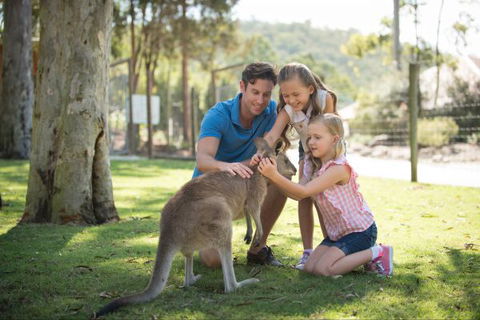 Paradise Country Farmstay - Getaway Accommodation 7