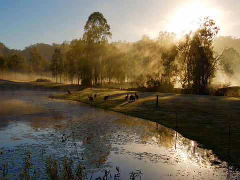 Ramada Resort Kooralbyn Valley - Getaway Accommodation 6