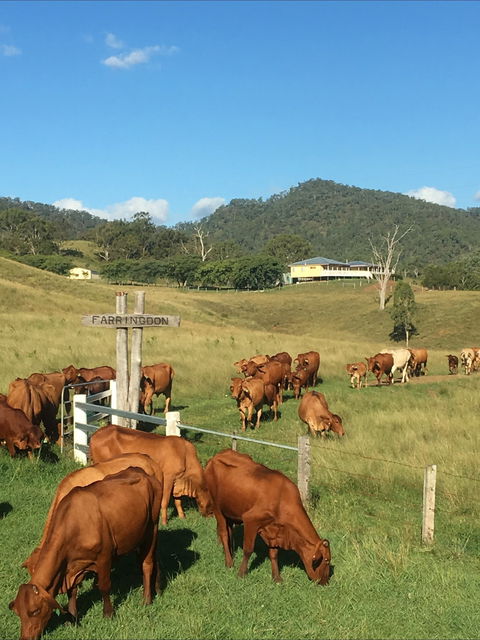 Farringdon Homestead - Getaway Accommodation 0