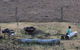 Farringdon Homestead - thumb 8