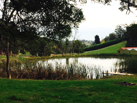 Gracefield Estate - Getaway Accommodation 0