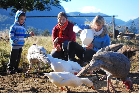 Cedar Glen Farmstay - Getaway Accommodation 0
