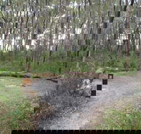 Meroo Head campground - Getaway Accommodation