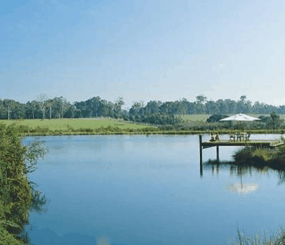 Forest Rise Eco Retreat - Getaway Accommodation