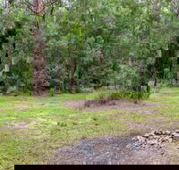 Blue Gum Flat campground - Getaway Accommodation