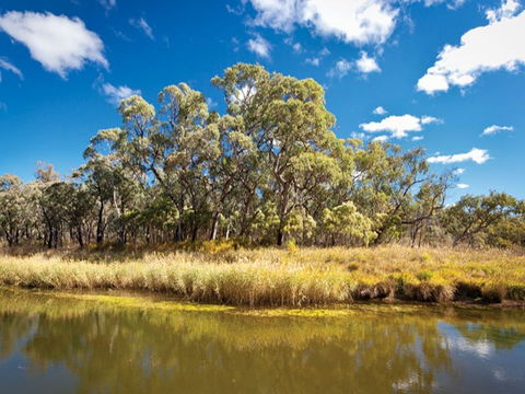Kings Plains Creek Campground - Getaway Accommodation 2