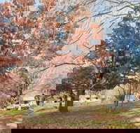 Tumbarumba Caravan Park - Getaway Accommodation