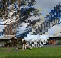 Woodenbong B and B - Getaway Accommodation