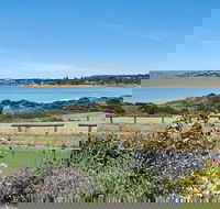 52 Seaview Avenue - Getaway Accommodation