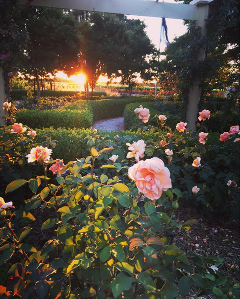 BAROSSA  HOUSE - Getaway Accommodation 1