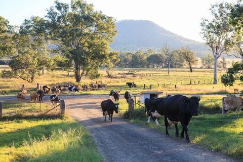 Tommerups Dairy Farmstay - Getaway Accommodation 0