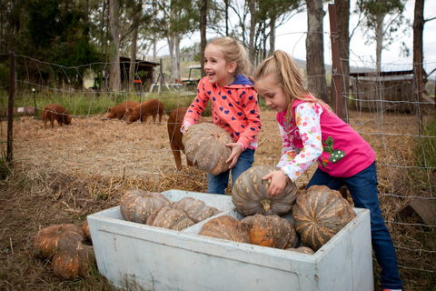 Tommerups Dairy Farmstay - Getaway Accommodation 2