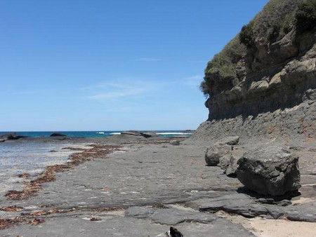 Dolphins Point Tourist Park - Getaway Accommodation 4