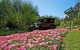 Brilynbrook Country Accommodation - thumb 5