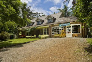 Curtis Falls Mountain Retreat - Getaway Accommodation 0