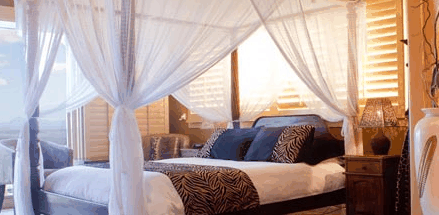 Avocado Sunset - Getaway Accommodation 2