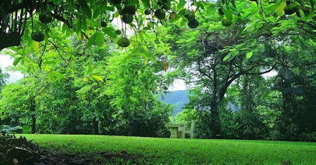 Misty Mountain Retreat - Getaway Accommodation 0