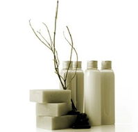 Oasis Day Spa - Getaway Accommodation