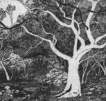 Tacit Contemporary Art - Getaway Accommodation