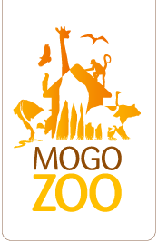 Mogo Zoo - Getaway Accommodation