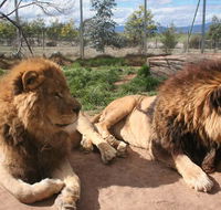 Mansfield Zoo - Getaway Accommodation