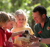 Cleland Wildlife Park - Getaway Accommodation