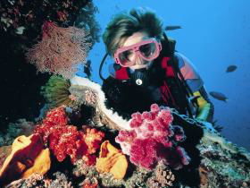 Gold Coast Seaway Dive Site - Getaway Accommodation 0