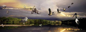 Territory Wildlife Park - Getaway Accommodation 1