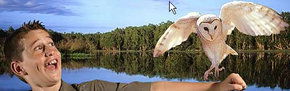 Territory Wildlife Park - Getaway Accommodation 2