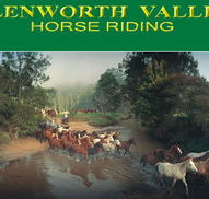 Glenworth Valley Horseriding - Getaway Accommodation