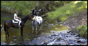 Glenworth Valley Horseriding - Getaway Accommodation 1