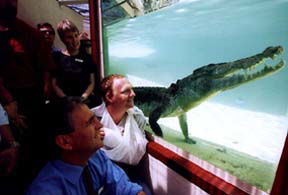Alice Springs Reptile Centre - Getaway Accommodation 1