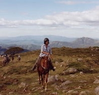 High Country Horses - Getaway Accommodation