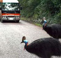 Kookaburra Tours - Getaway Accommodation