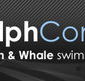 Dolphcom - Dolphin  Whale Swimming Adventures - Getaway Accommodation