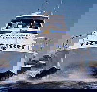 Sunshine Coast Fishing Charters - Getaway Accommodation