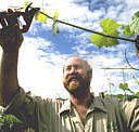 Barossa Experience Tours - Getaway Accommodation