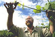 Barossa Experience Tours - Getaway Accommodation 0