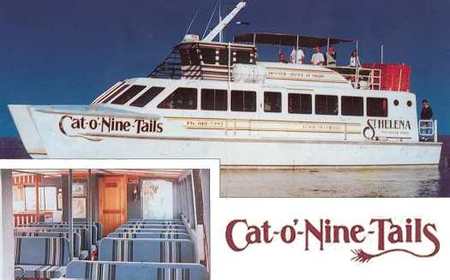Cat O' NineTails - Getaway Accommodation 1