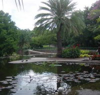 Brisbane City Botanic Gardens - Getaway Accommodation